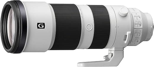 Sony FE 200-600mm F5.6-6.3 G OSS Super Telephoto Lens